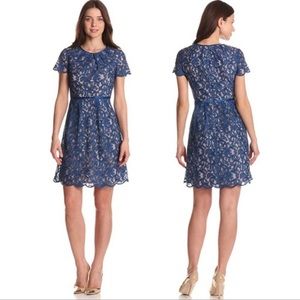 Adrianna Papell Blue Lace Dress (Plus)